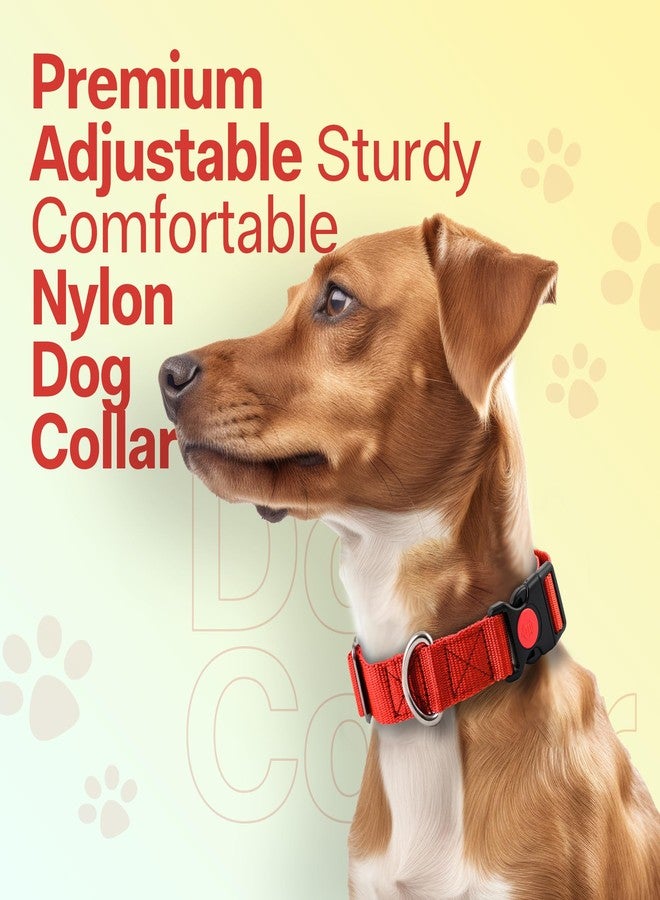 ADIL'S Dog Collar For Small Medium&Large Dogs,Adjustable Nylon Dogs Collar With Quick Release Strong Plastic With Lock Buckle(Width: 25Mm),Colour: Red,Size: M - Image 5